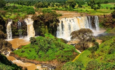 Untitled design (29)