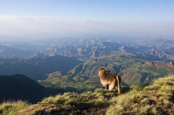 4-Day Simien Mountains Trekking Tour Itinerary